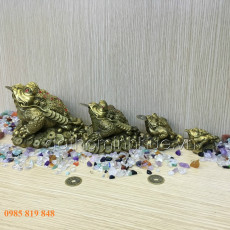 Cóc đồng phong thủy 2
