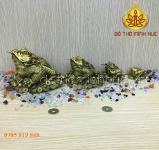 Cóc đồng phong thủy - Bộ 1245