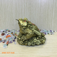 Cóc đồng phong thủy 2