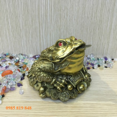Cóc đồng phong thủy 2