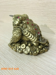 Cóc đồng phong thủy - Bộ 1245