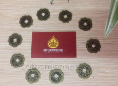 Xu hoa mai bé - Combo 10 đồng